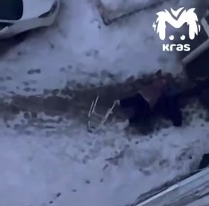 � ����������� ��������� ��������� ���� ����� ��������� ��������� ������ �� �����������