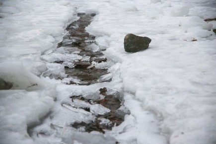 � 25 ����� � ������������ ���� ��������� ����� ���������� ���������� ��� �������������� � ���������� ������������ ��������, ��������� � ���������� �������� � ����������