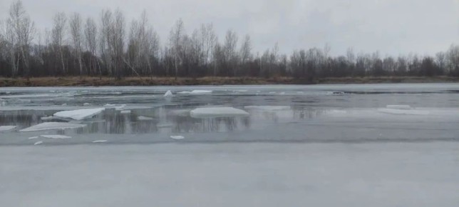 ����������� ���������� ����������� �������� ��� �����������, ��� ������ �������