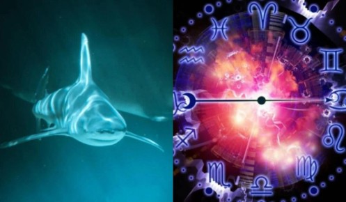 ����� �� ������������ ��������� �� ����� �������