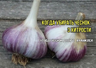 ����� ������� ������: ��� ��������� ��������, ������� ������ ������������