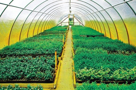 ��� �������� ������� ������ � �������: ������ �� ��������� � ������