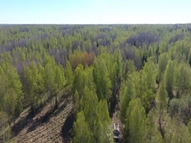 �� ��� ������������� ���� � 28 ����� ���������� ���������� ������������� �����