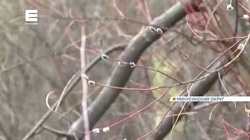 �� ��� ���� ��������� ������������� ����� ��� �������