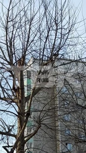 ������ ��������� ��������. ������� ������ � ������� ���� ������ �����