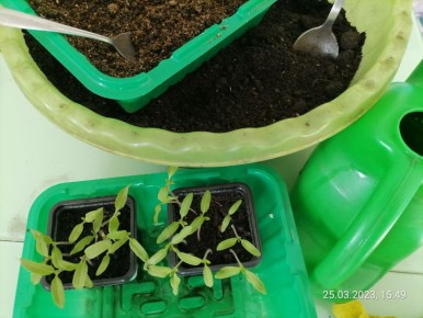 ��� ��������� ���������� � ��������� �� ��������: ������������ ������ ��� ���������