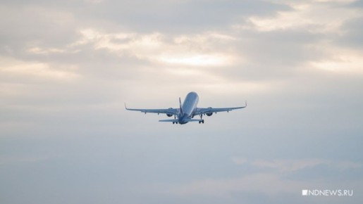 Прокуратура контролирует вывозные авиарейсы из Ближнего Востока