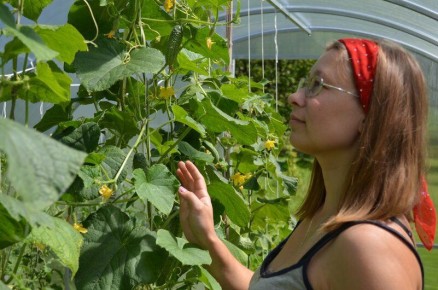 ���������� ����������� ������� � �������: ����� �� ������������� � �������?