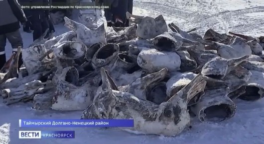 � ���������� �������-�������� ������ �������� ������������� � ���������� ����� �� �������� ������