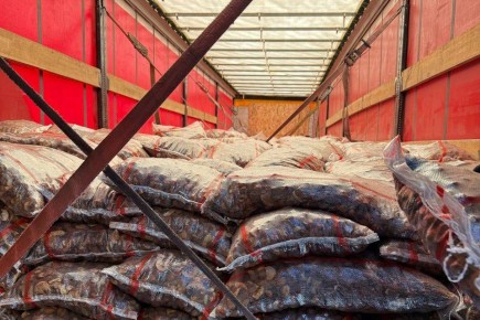 � ������������ ���� ������������� ����������� �������� 22,5 ����� ����������� �� ������������