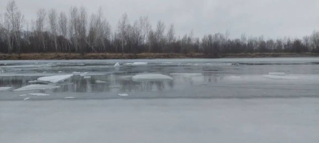 � ����������� ������ ������ ���������� ��� ��