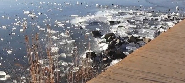 7-������ ������� ������ � ����������