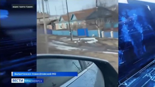 � ���� ��������� �������� ������