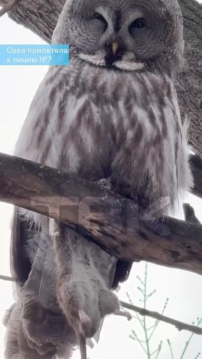 ���� ��������� � ����� �7 � ����� � ������