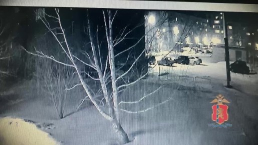 ������-�����������, ������������� � ����� � ������� ���������� � ������������ ����, ���������