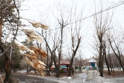 � 1 ����� 2026 ���� � ������ ������� � ���� ����������� ����� � 294-��, ������� ������ ������ � ������ � ����������� ����������