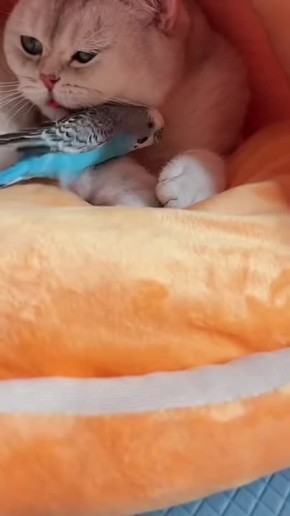 Твой дом - твоя крепость. Даже крепость требует, чтобы за ней ухаживали