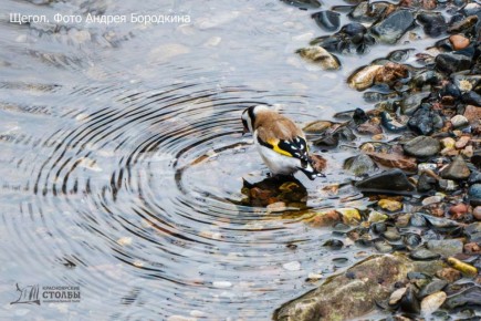 � �������� ������������� ������� ����� �������� ������ �������� �������