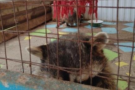 � ������������ ���� ��������� ������ ������ ������� �� ������ ���������� ��������