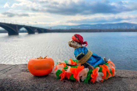 ��������� ������� � ����������� ��������� ��������� ������