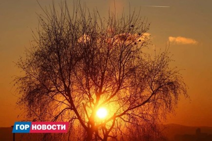 Главные Gornovosti недели: президентская премия