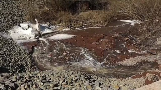 ПО УЛИЦАМ НА ЛОДКЕ: СНОВА ЗАТОПИЛО СНТ «ЧЕРЕМУШКИ»