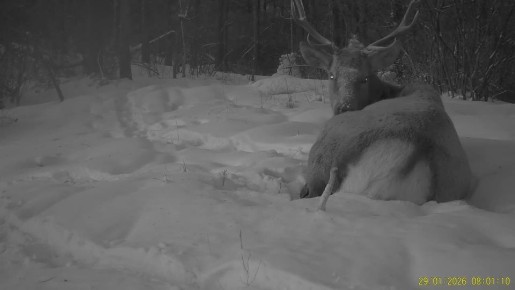 ����������� ���������� �� � ����