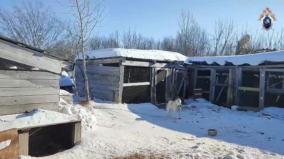 � ������������ ���� ����� ����� ���������� ���������� �������������, ���������� � ������������� ��� ���������� ��������� �� ������ ������������ ��������