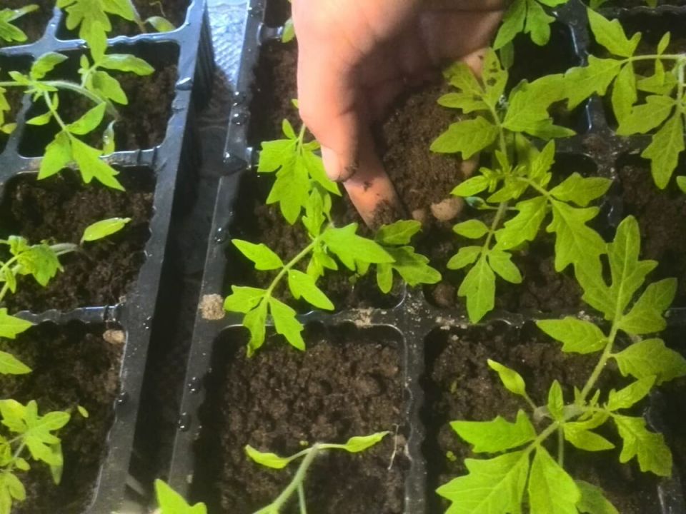 ��� ������� ������� ����� ��� ������� ������� ��� ������ ����