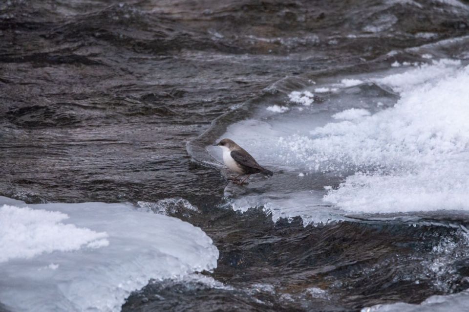 POV: ��������� ��������� � �� ������ ����� ���������� ��� ������ �� �����-���������� �����������
