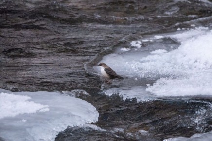 POV: ��������� ��������� � �� ������ ����� ���������� ��� ������ �� �����-���������� �����������