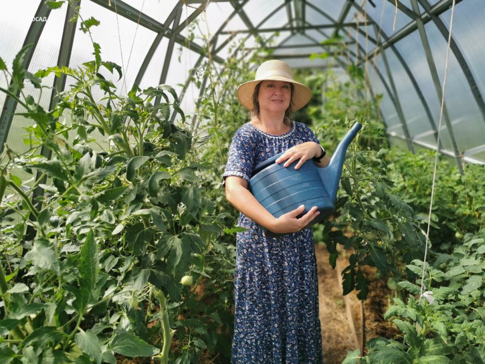 ������ ������� ����� � �������� ������� ������ ����: ����������� ��������