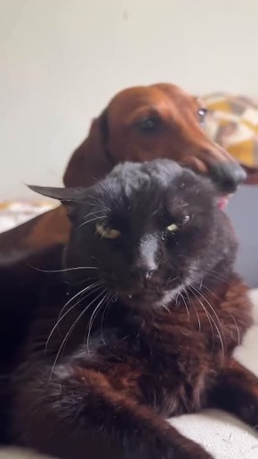 ������ ����!. ���� �� ������� ����, ���-�� ����� ������ ������� �������� �� ���� ���� ������������� � �������� ���! �����: ������� �������� �7 ����� ����������: �� ����� | � MAX | ��������� | ���� | �������������