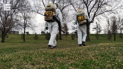 � ����������� ���������� �� ������ 606 �������� �����