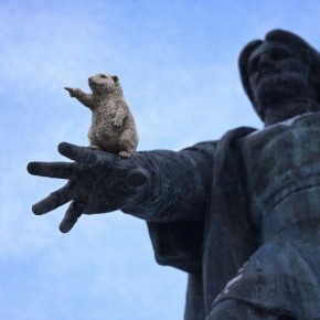 ��������� ��������� ������ �������� ����� �� ���� � ���������� ������������� ������� ������ ����������