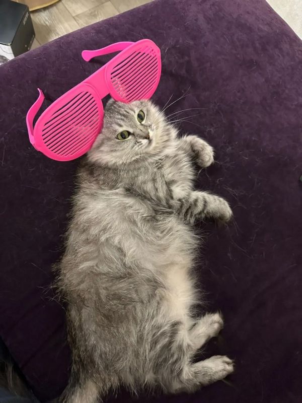 ���-�������!. ��� �������� ���������� ���� �����������