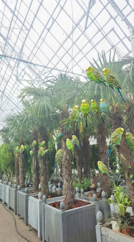 ���� ����������� ��������, ��� ������ ����� ������ ��� ��������� ������������