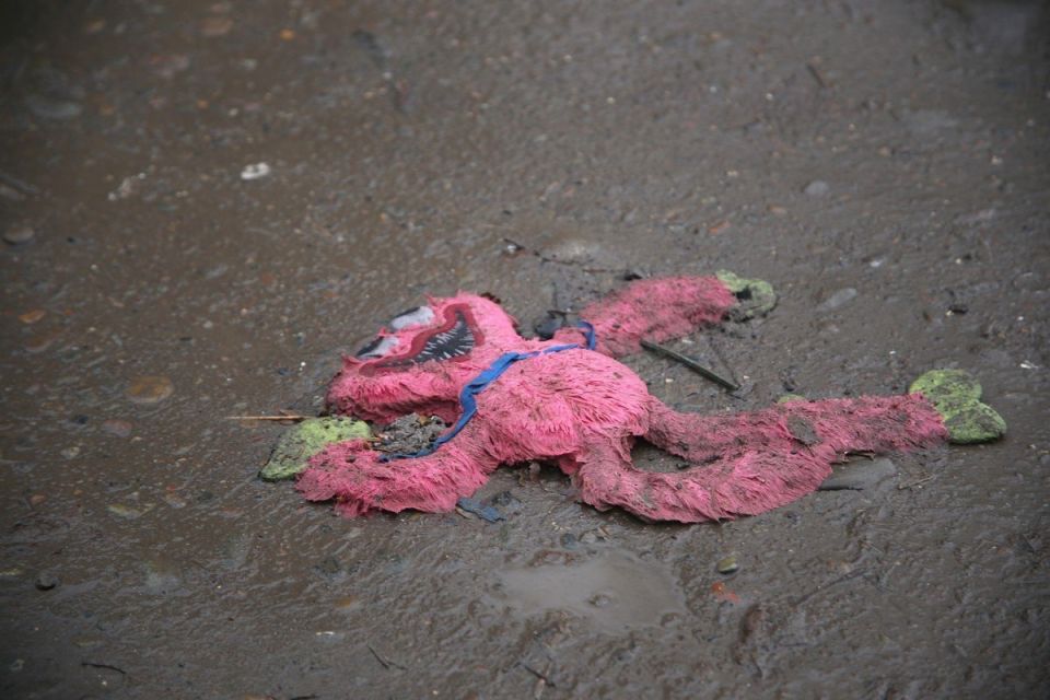 �������� ��� ������� ����� 2023 ���� � �������� ��������