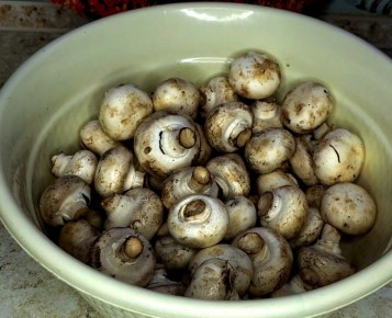 ����������� ������ ������ �������� ����������