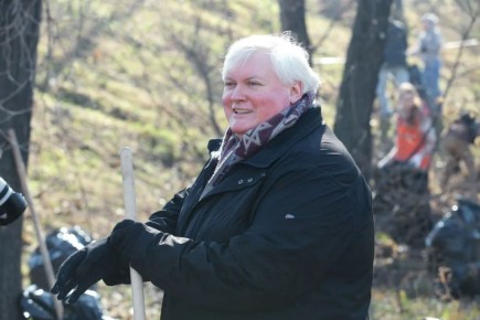 ������� ������� ����������� ������ ����������� �� 56 ���