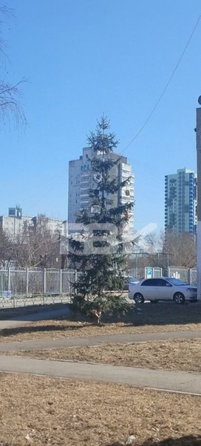 ���� ���������������� ������ � ������ ���������