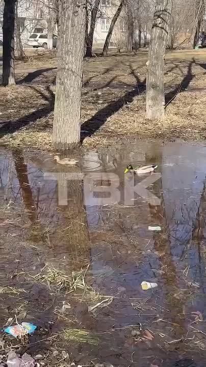 ���� �������� ������ � ���� �� ����� �����������