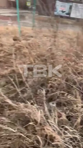 ������� �� ������������: ����� ���� ����� ������� � ��������