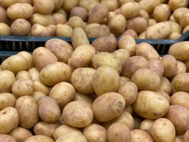 ��������� ������: ��������� ����� ��� ������ �������