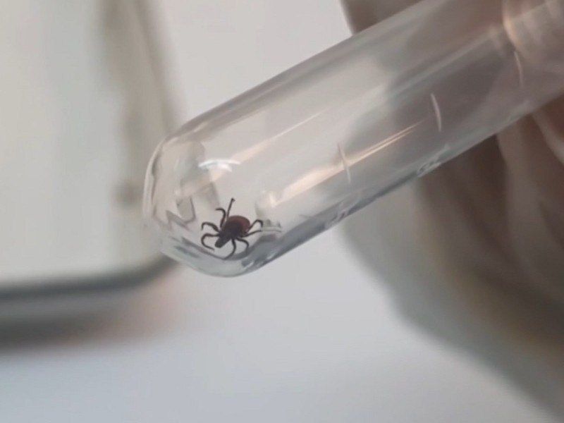 � ����������� ���������������� �����