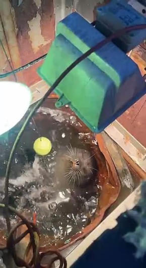 ����� ������� ���� ������, � ��� �������� ���� ������� ���������, ��������� ����� ������ ����� � ����� ������ � ������