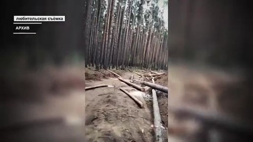 ����������� �������� �������� ������ ��������� ������ɻ