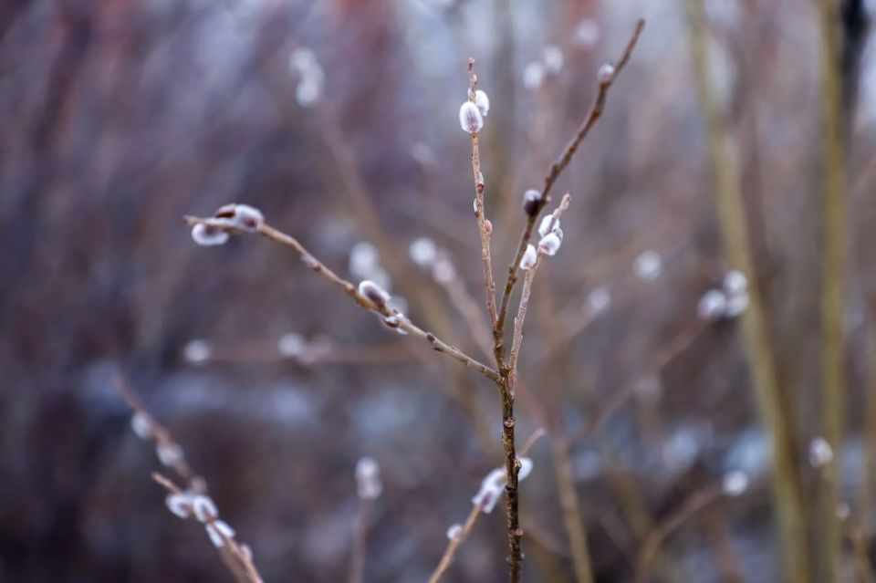 ���������� ������� ������� �����������: ��� ����� � ������