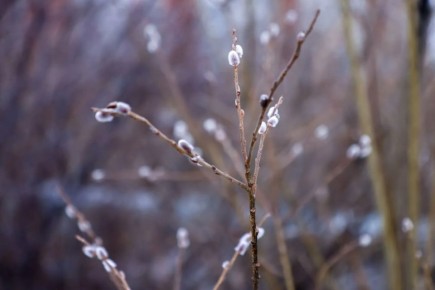 ���������� ������� ������� �����������: ��� ����� � ������