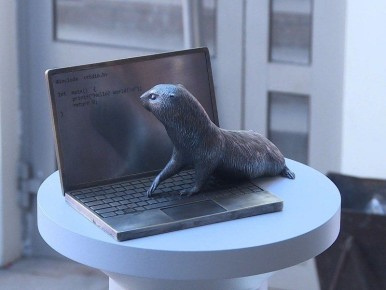 � ����������� �������� ��� ��� ������ ���������� �������